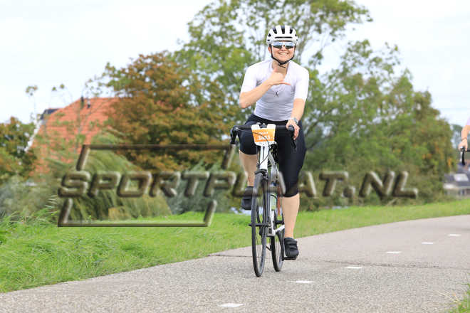 D3663.jpg